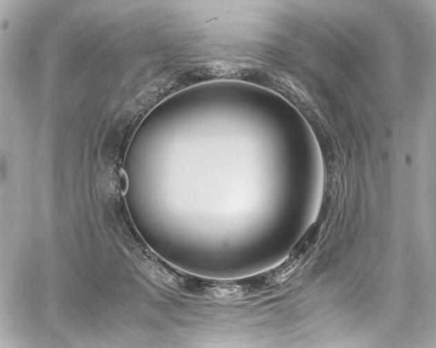 X0000060750317200511101122