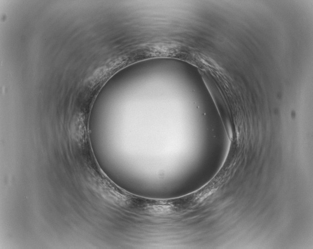 X0000060750318200511101122