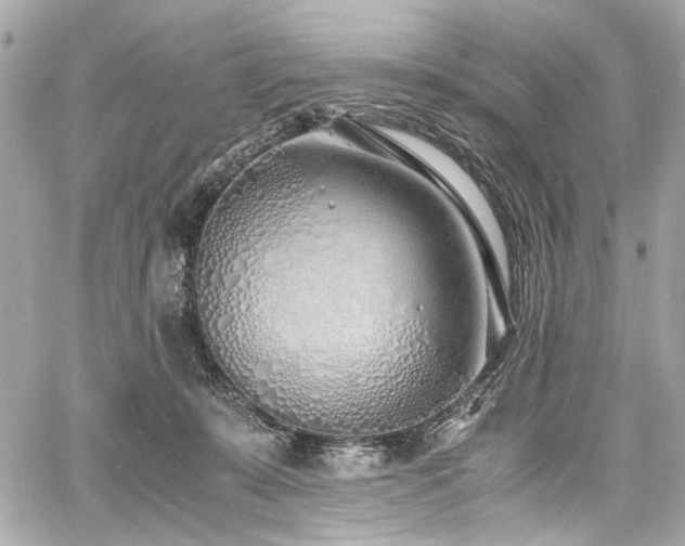 X0000060750319200511101122