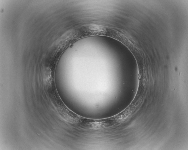 X0000060750320200511101122