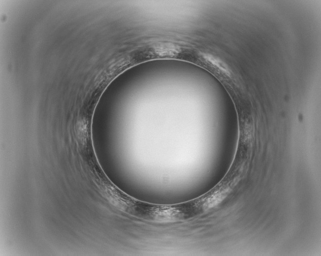 X0000060750321200511101122