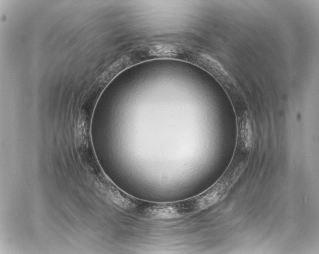 X0000060750322200511101122