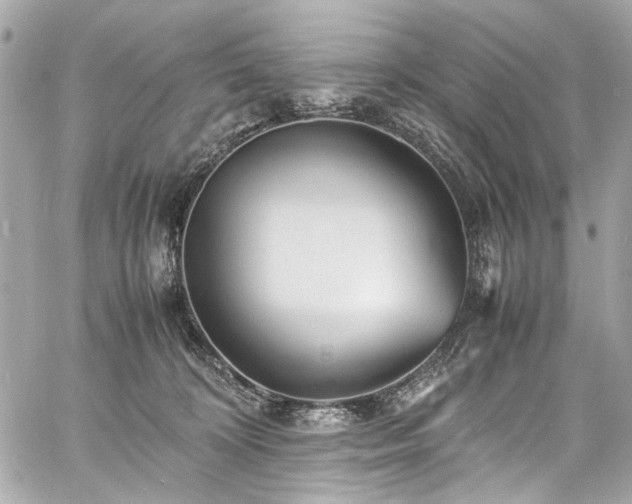 X0000060750324200511101122