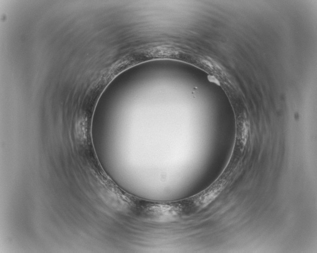 X0000060750326200511101122