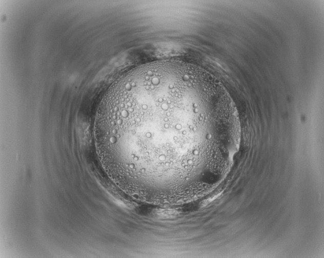 X0000060750327200511101122