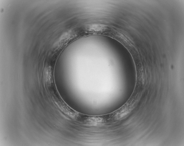 X0000060750328200511101122