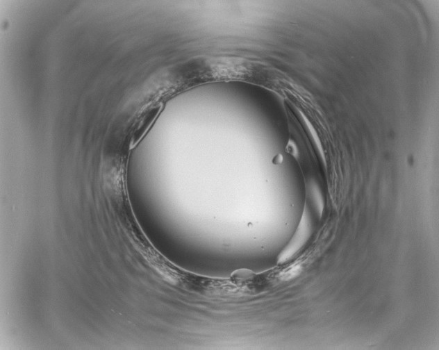 X0000060750329200511101122