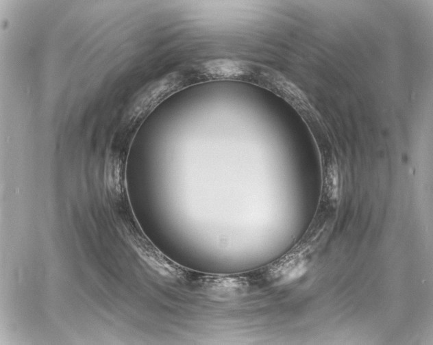 X0000060750330200511101122