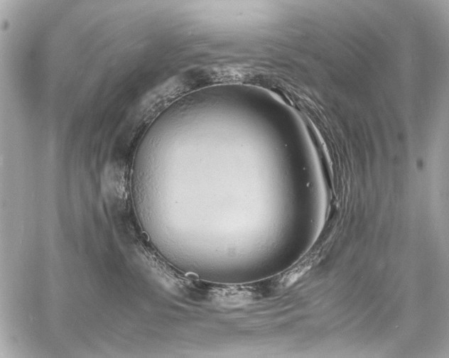 X0000060750331200511101122