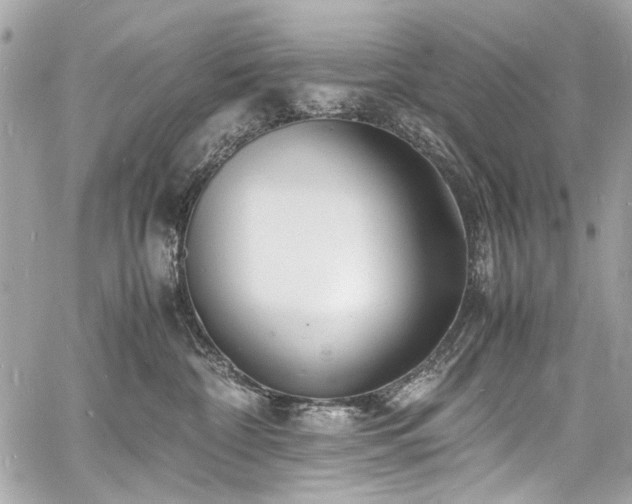 X0000060750332200511101122