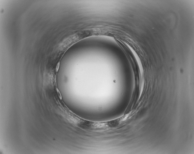 X0000060750333200511101122