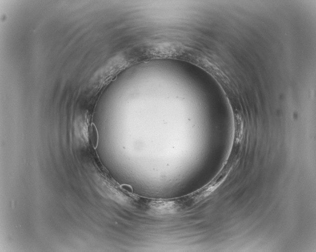 X0000060750334200511101122