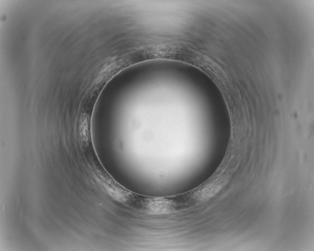 X0000060750336200511101122