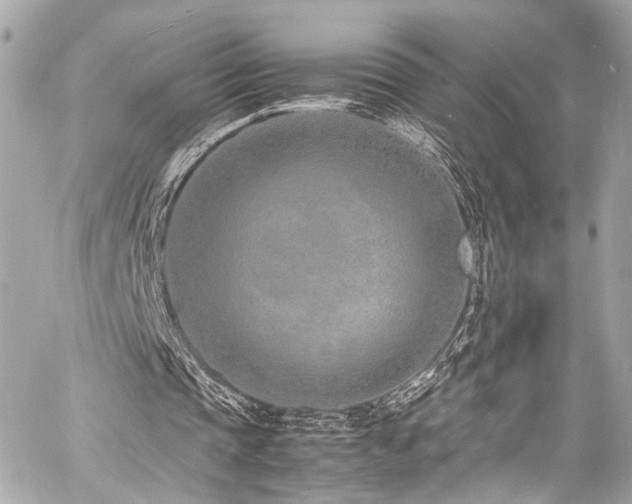 X0000060750337200511101121