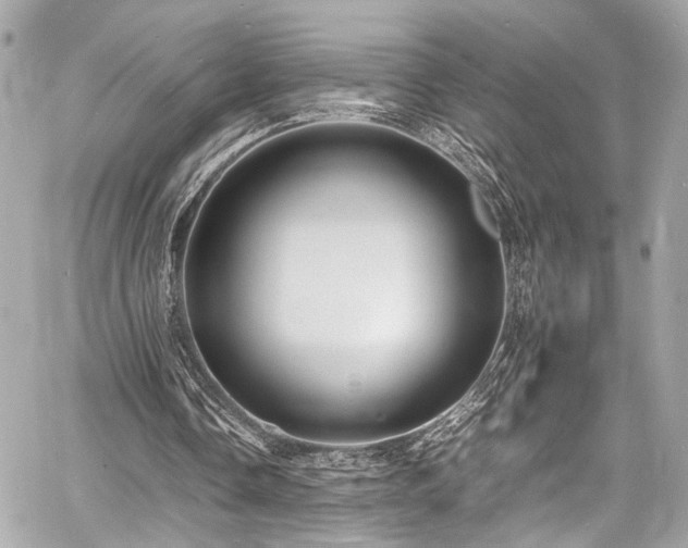 X0000060750338200511101121