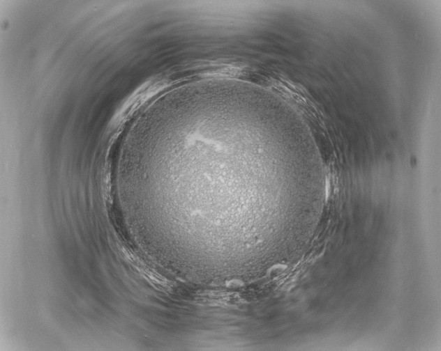 X0000060750339200511101121