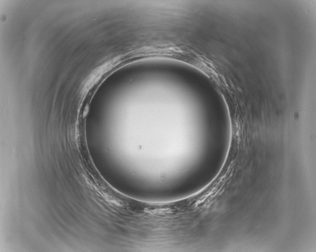 X0000060750340200511101121