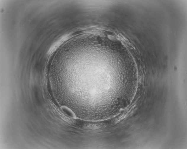 X0000060750341200511101121