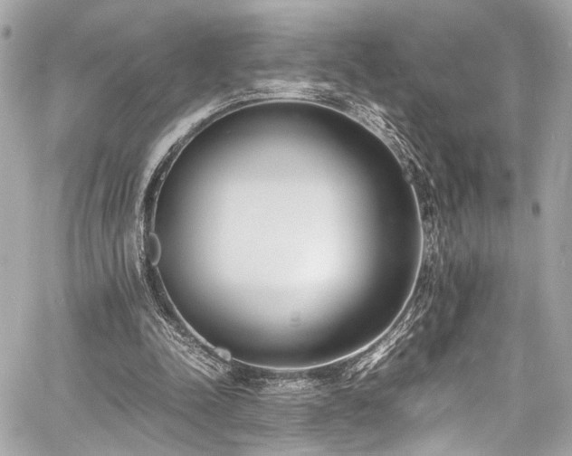 X0000060750342200511101121