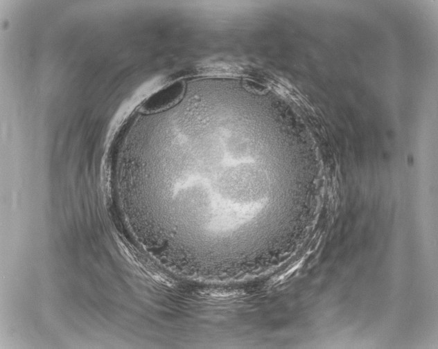 X0000060750343200511101121