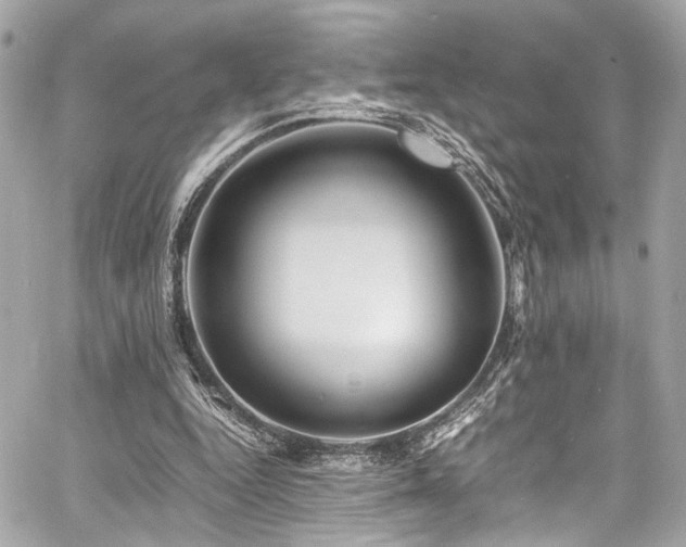 X0000060750344200511101121