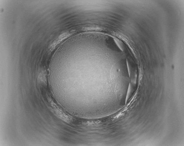 X0000060750345200511101121