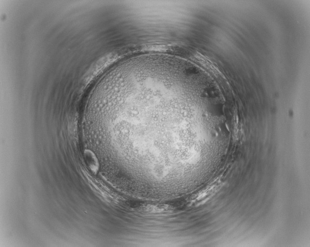 X0000060750346200511101121