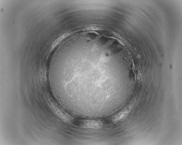 X0000060750347200511101121