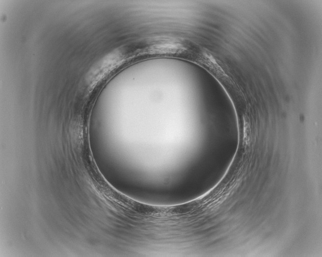 X0000060750348200511101121