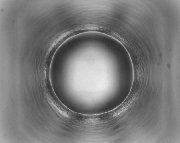 X0000060750350200511101121