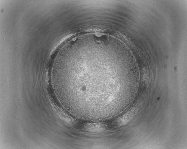 X0000060750351200511101121