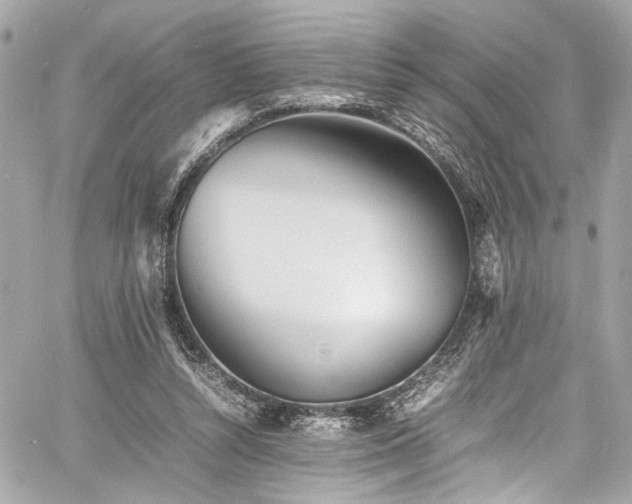 X0000060750352200511101121