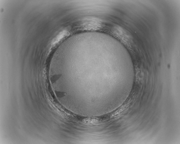 X0000060750354200511101121