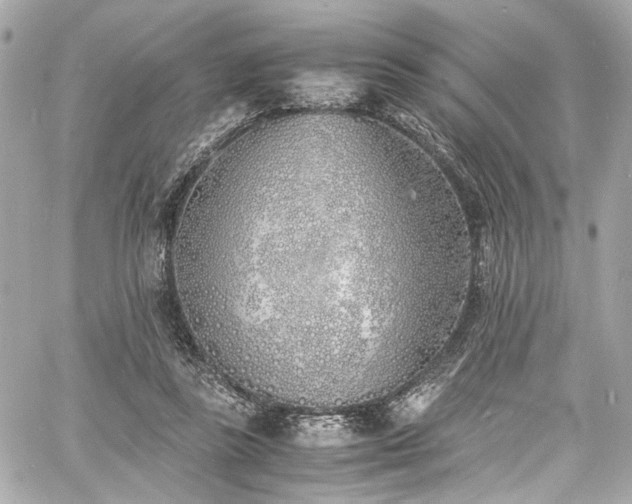 X0000060750355200511101121