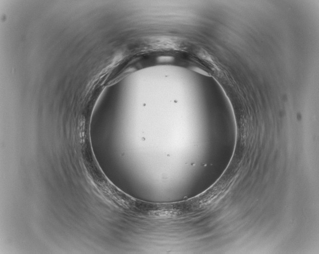 X0000060750356200511101121