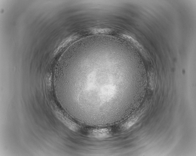 X0000060750357200511101121