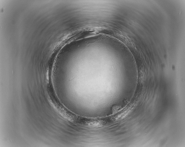 X0000060750358200511101121