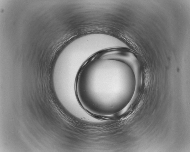 X0000060750359200511101121