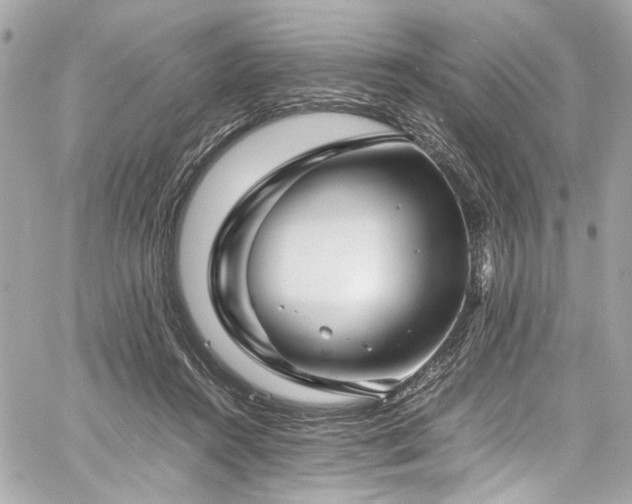 X0000060750360200511101121