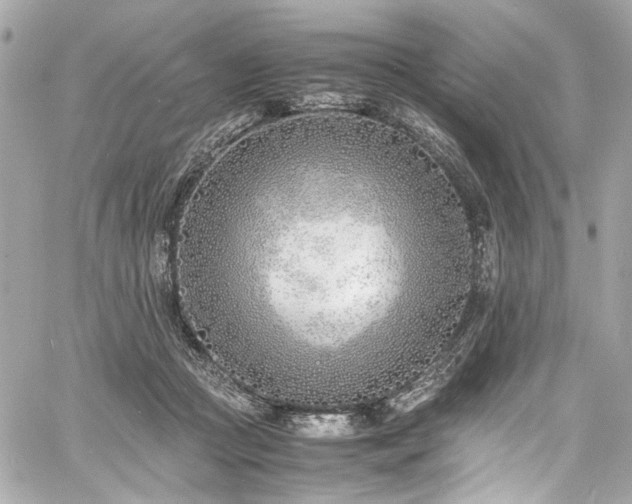 X0000060750361200511101121