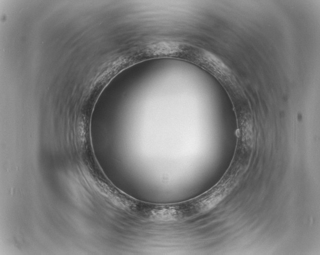 X0000060750362200511101122