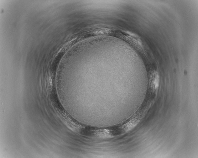 X0000060750363200511101122