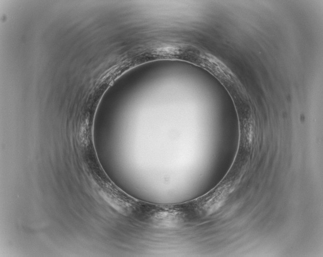 X0000060750364200511101122