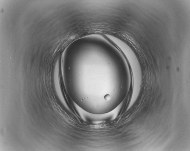 X0000060750365200511101122