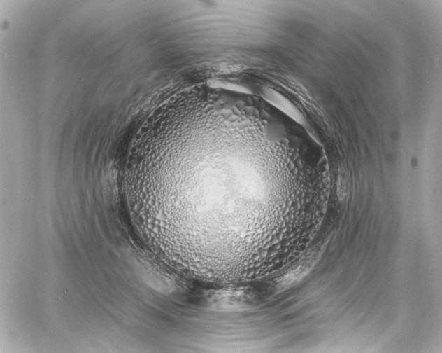 X0000060750366200511101122