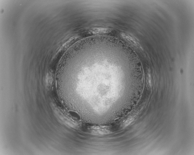 X0000060750367200511101122