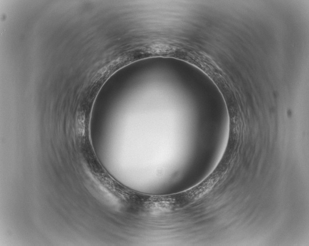 X0000060750368200511101122