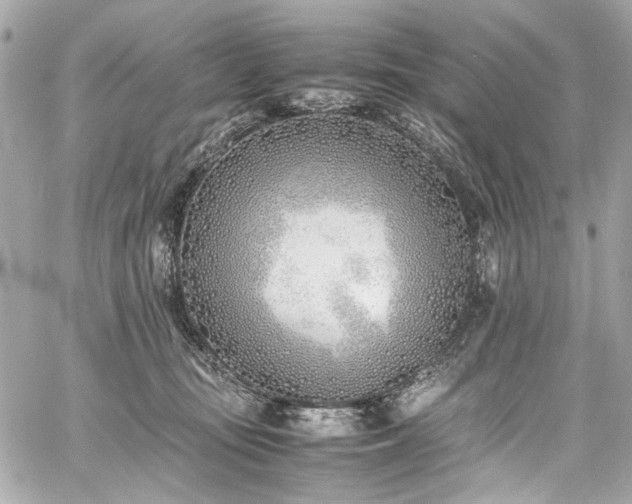 X0000060750371200511101122