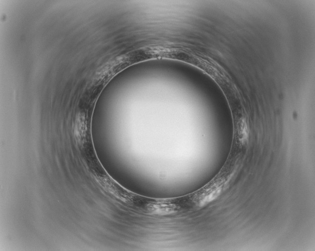 X0000060750372200511101122