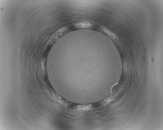 X0000060750373200511101122